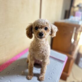 今月もありがとうございました！